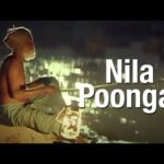 Nilaappongalaayelo