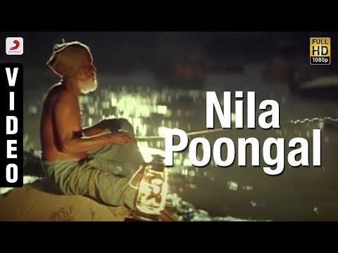Nilaappongalaayelo