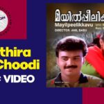 Paathiraappoo Choodi