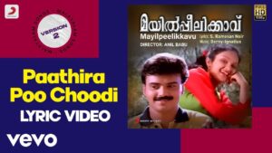 Paathiraappoo Choodi