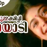 Ammoommakkili Vaayaadi