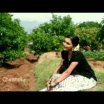 Koovalappoo Kannaale