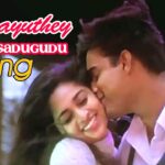 Prema Chadu Gudu