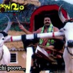 Thechi poove thenkashi poove