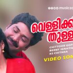 Vellikkinnam Thullum
