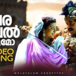 Varavelkkumo