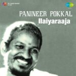 Vendaykka Saambaarum