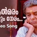 Aalmaram chaayum neram