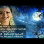 Paathira nilaavum premamaya (D)