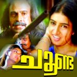 Paathiraanilaavum (F)