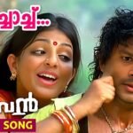 Pudichaachu Pudichaachu