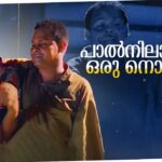 Paalnilaavinum