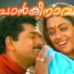 Ponkinaavalle