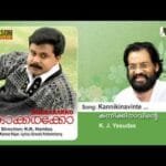 Kannikkinaavinte [M]