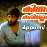 Kinnaaram tharivalayude