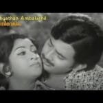 Sandhyathan Ambalathil