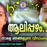 Aalippazham