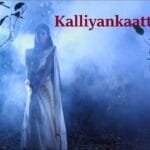 Nizhalaay ozhukivarum
