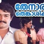 Thenaari thenkaashi