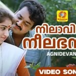 Nilaavinte