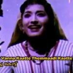 Thekkunnu vanna kaatte